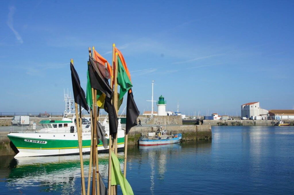 509183834_10054971014590926_8624960920174883727_n