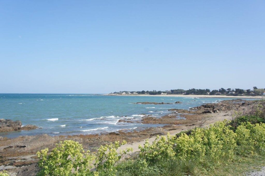 509362236_10054971041257590_7938395466429078384_n