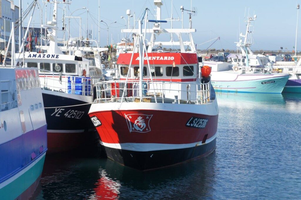 509752317_10054971067924254_3163104959009812563_n