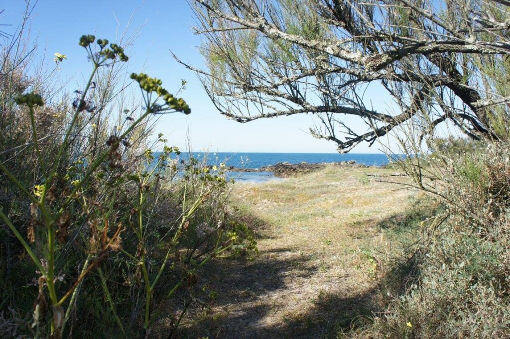 509942190_10054970944590933_8901378350555889311_n