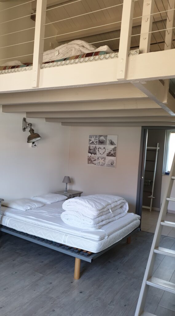 68931452_2410595979028506_6682149813204549632_n