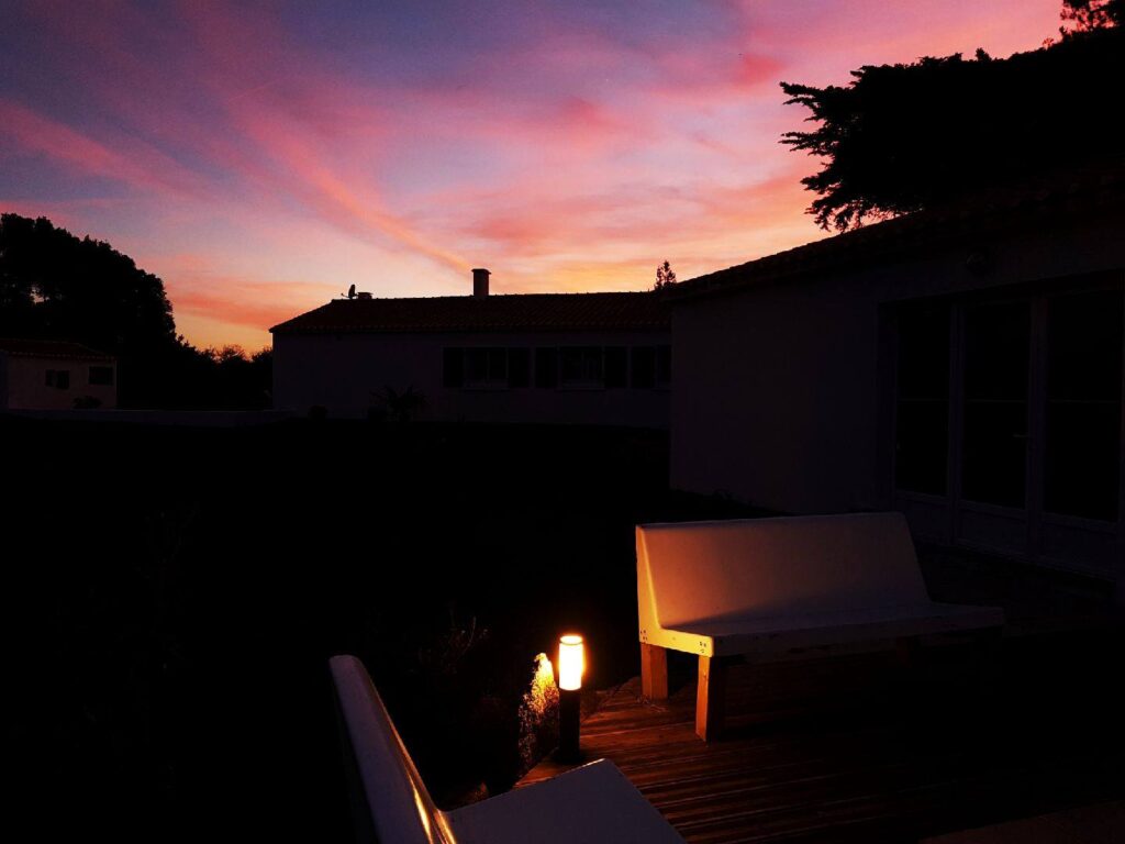 71687923_2482854448469325_6810325535831359488_n