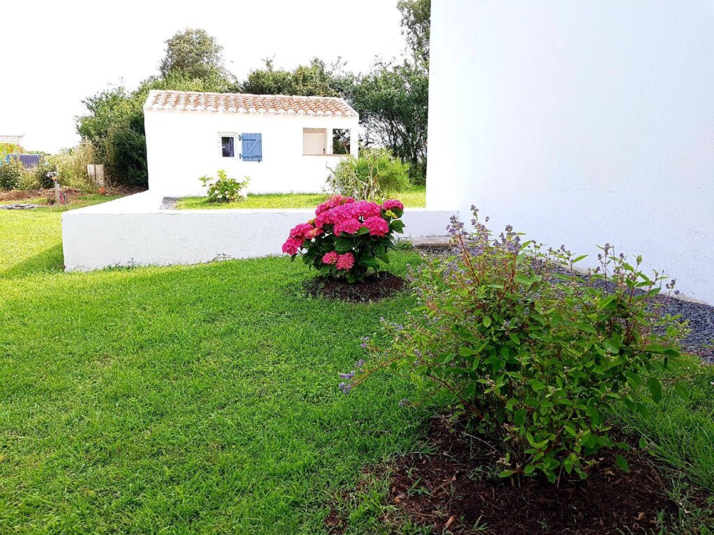 71688467_2482854715135965_5286936782384922624_n